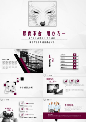 狼性大气框架完整商务汇报计划书ppt