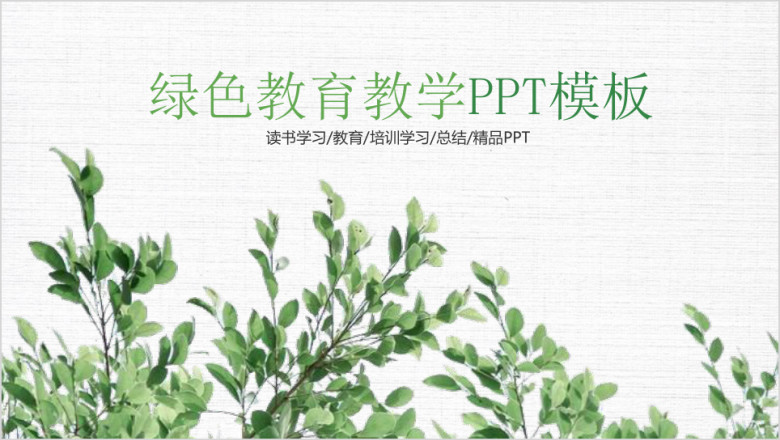 绿色清新教育教学读书学习工作总结计划ppt