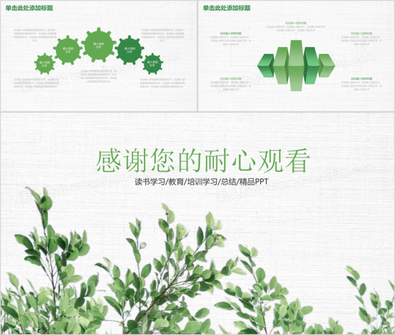 绿色清新教育教学读书学习工作总结计划ppt