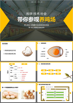 人教版八年级生物下册带你参观养鸡场