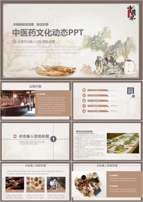 食疗养生保健中医学中医药ppt模板素材