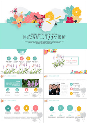 韩范清新工作总结计划ppt