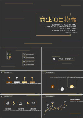 黑金线条商业项目ppt