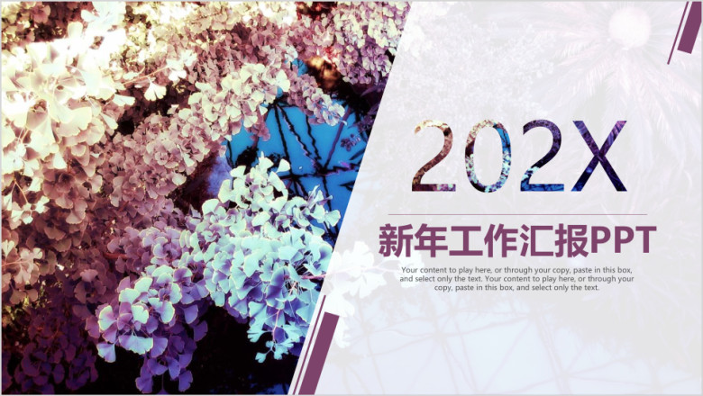 高端唯美欧美大气新年计划工作总结汇报ppt