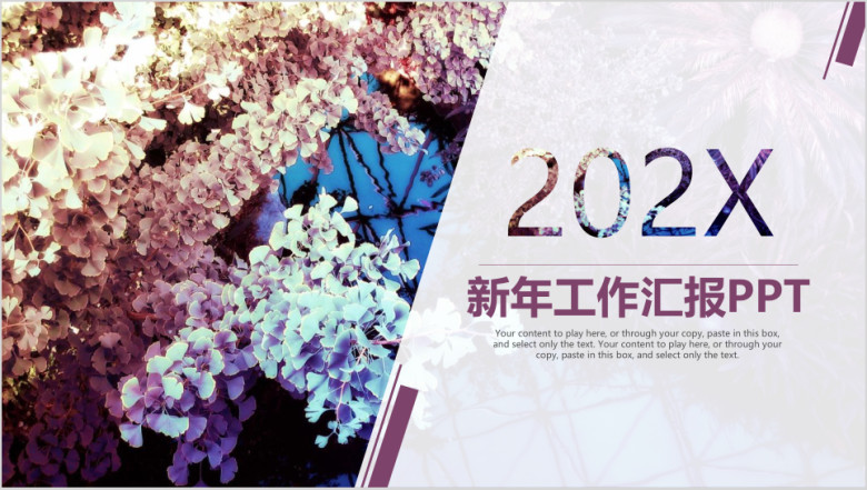 高端唯美欧美大气新年计划工作总结汇报ppt