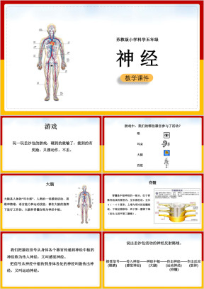 小学科学苏教版五年级全册《5