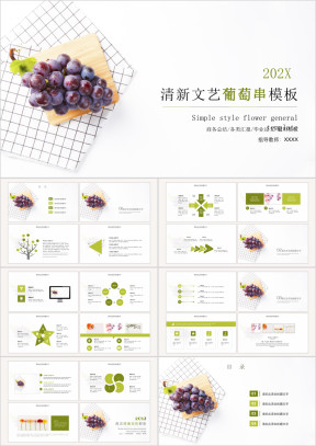 简约清新文艺风总结汇报ppt