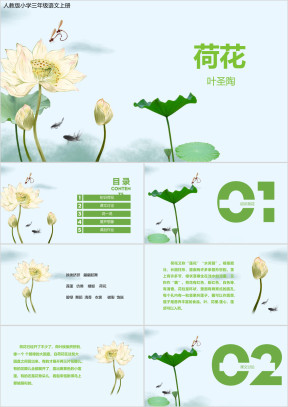 小学三年级语文《荷花》教学课件