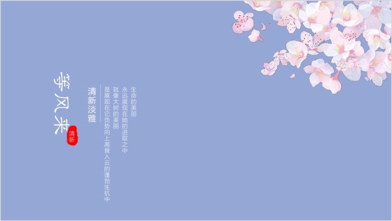 简约风清新淡雅工作总结工作计划ppt