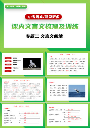 初中语文中考专题训练文言文阅读梳理总结
