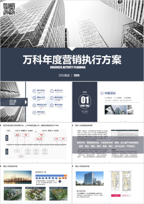 万科国际项目营销执行方案ppt