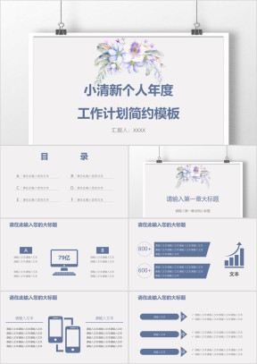 小清新个人年度工作计划简约模板ppt