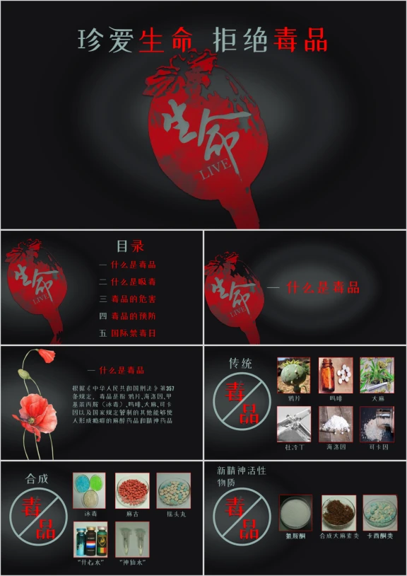 禁毒宣传教育含内容直接使用ppt