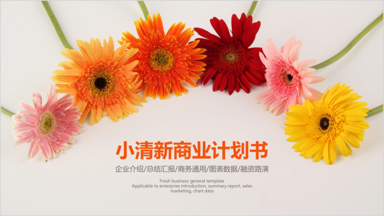 小清新商业计划书模板ppt