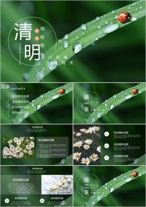 清明节节日通用模板