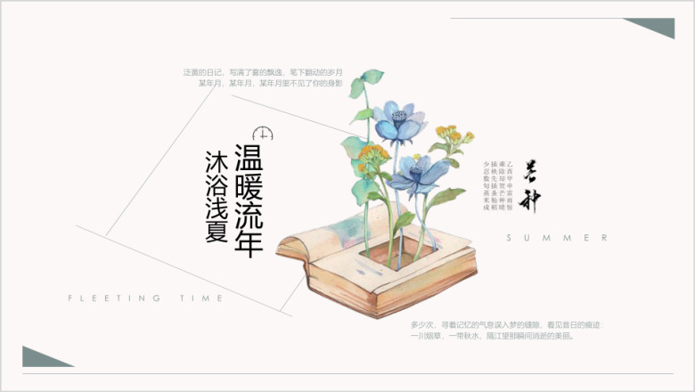 芒种-极简小清新工作总结活动策划计划ppt