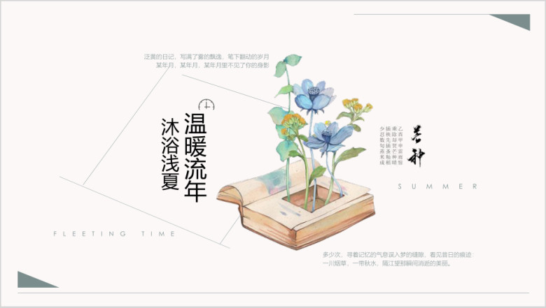 芒种-极简小清新工作总结活动策划计划ppt