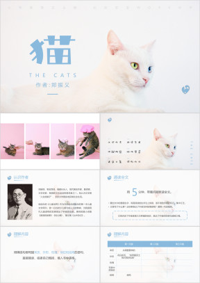 初中语文人教版七年级上册《猫》教育教学课件