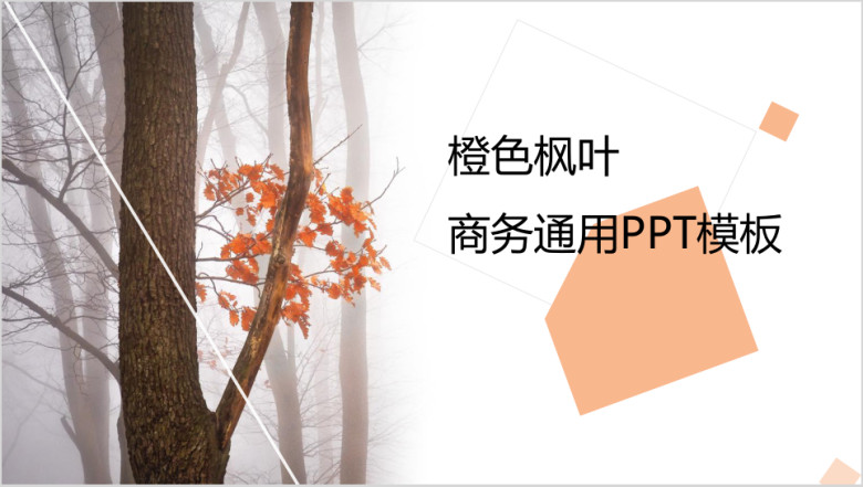 橙色枫叶秋天商务通用ppt