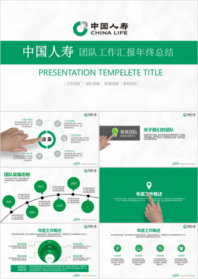 中国人寿保险团队组织发展介绍业绩成果汇报ppt模板