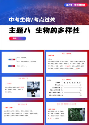 初中生物中考复习课件生物的分类