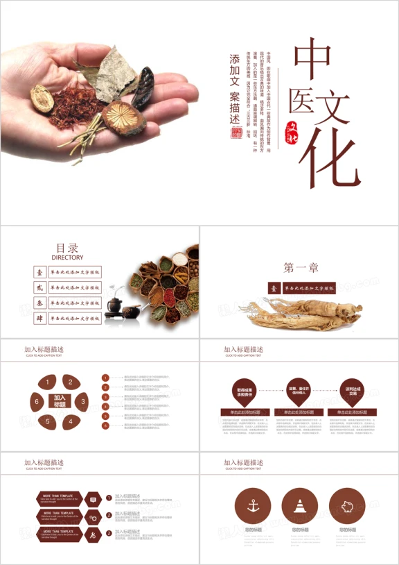 中医药养生ppt模板素材