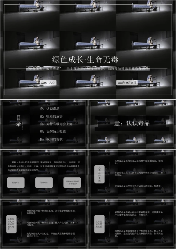 青少年远离毒品禁毒主题教育ppt课件