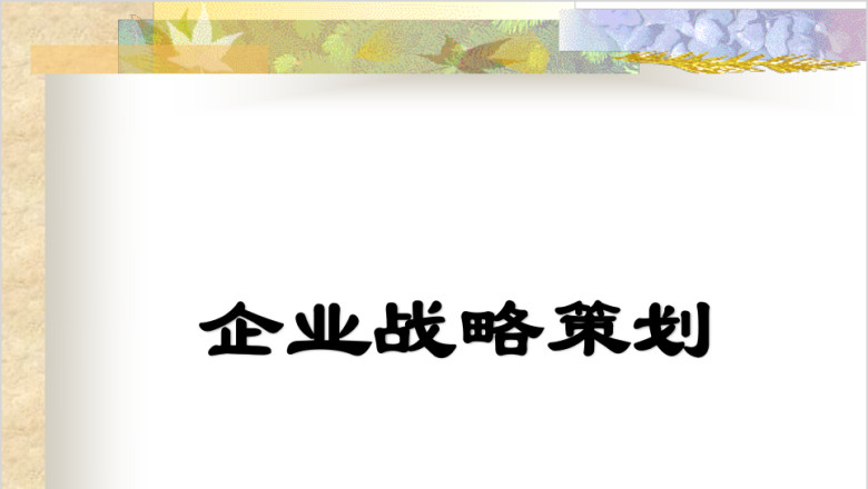 企业战略策划ppt