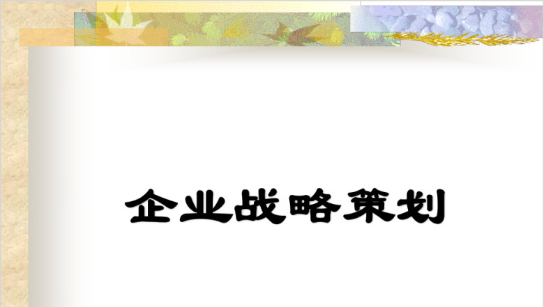 企业战略策划ppt