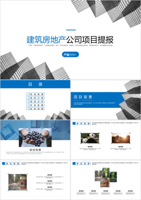 建筑地产简约工作总结ppt模板