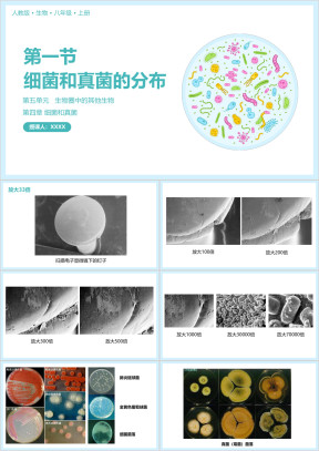 人教版八年级生物上册细菌和真菌的分布课件