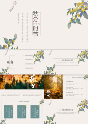 二十四节气之秋分时节古风素雅ppt