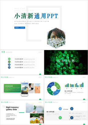 简约小清新工作总结汇报计划模板ppt
