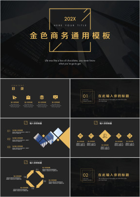 黑金高端大气商务ppt