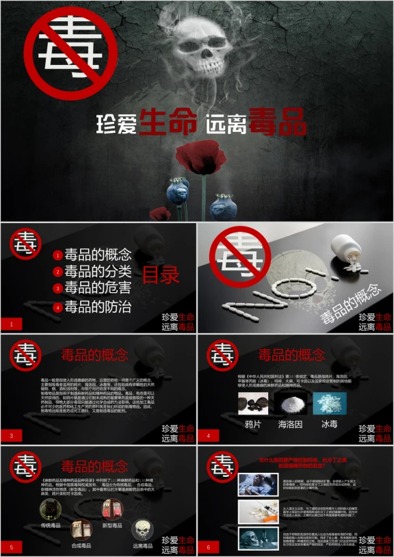 禁毒宣传教育珍爱生命远离毒品ppt