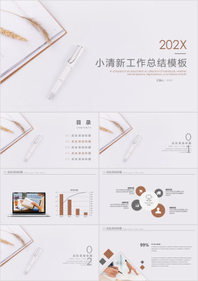 清新简约工作总结模板ppt