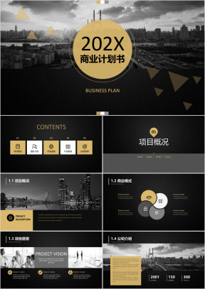 黑金商务商业计划书-创业计划-投资路演-商务ppt