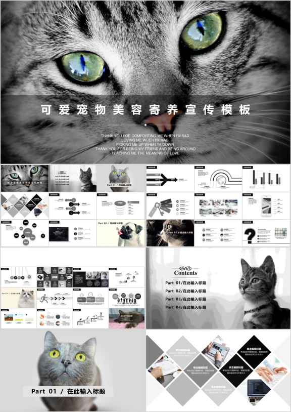可爱宠物美容寄养宣传模板ppt