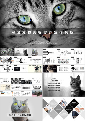 可爱宠物美容寄养宣传模板ppt