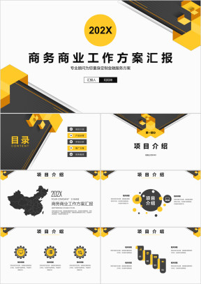 商务商业工作方案汇报ppt