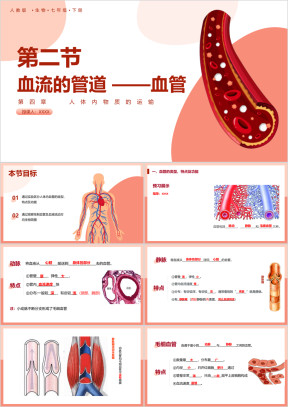 初中生物人教版七年级下册《血流的管道血管》教育教学课件