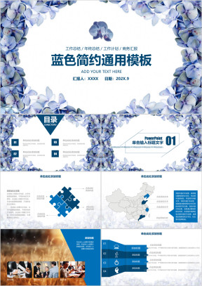 唯美蓝色简约蝴蝶兰商务工作总结计划ppt