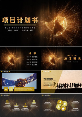 项目计划书 商务风黑金高端精致项目商业计划书报告述ppt