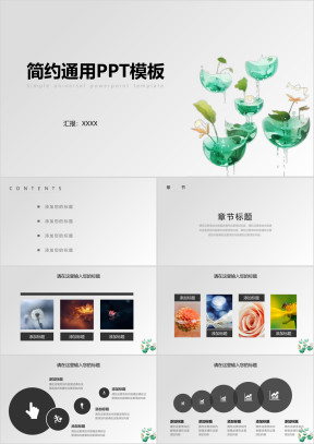 简约荷花盆栽通用总结ppt模板