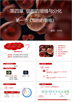 初中生物高一《有丝分裂》教育教学课件