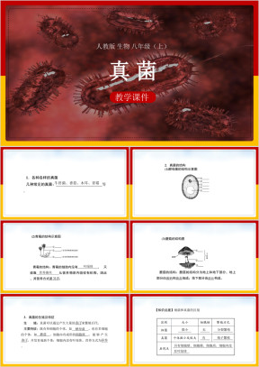 初中生物人教版八年级上册《5