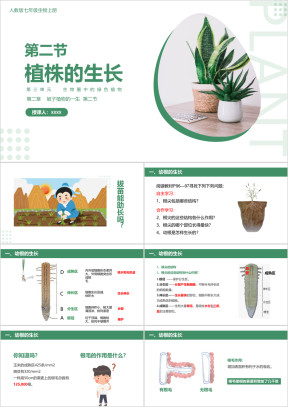 初中生物人教版七年级上册《植株的生长》教育教学课件