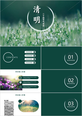 清明时节二十四节气小清新模板