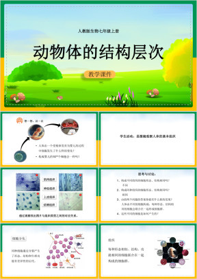 初中生物人教版七年级上册《动物体的结构层次》课件