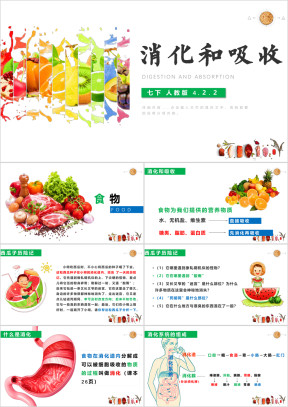 初中生物人教版八年级下册《消化和吸收》教育教学课件